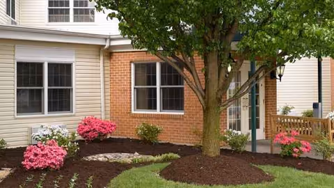 Exterior view of Peregrine Senior Living at Salisbury with a tree and landscaped front yard.
