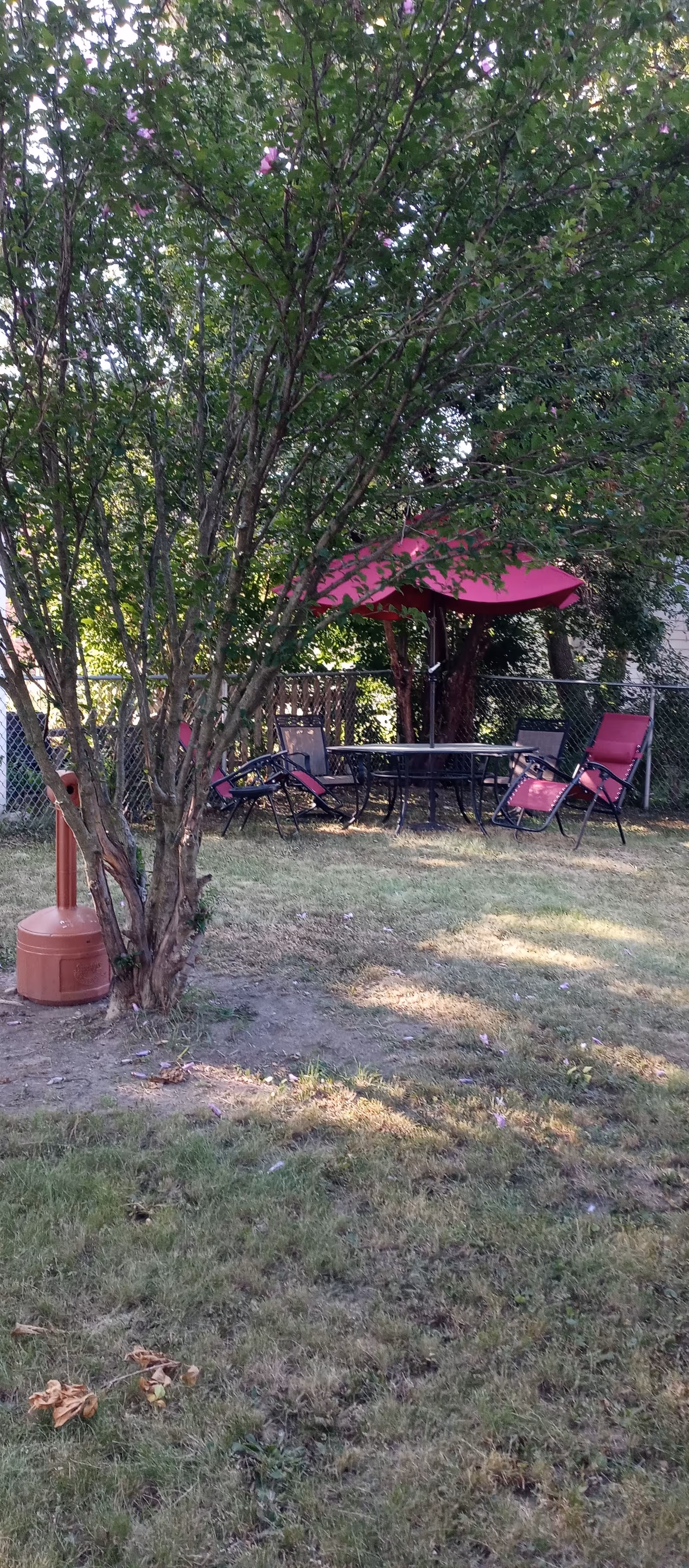 Outdoor garden area with a tree in the foreground and a patio set consisting of a round table, several chairs, and a red umbrella in the background. The area is enclosed by a chain-link fence and has grass and some patches of bare ground.