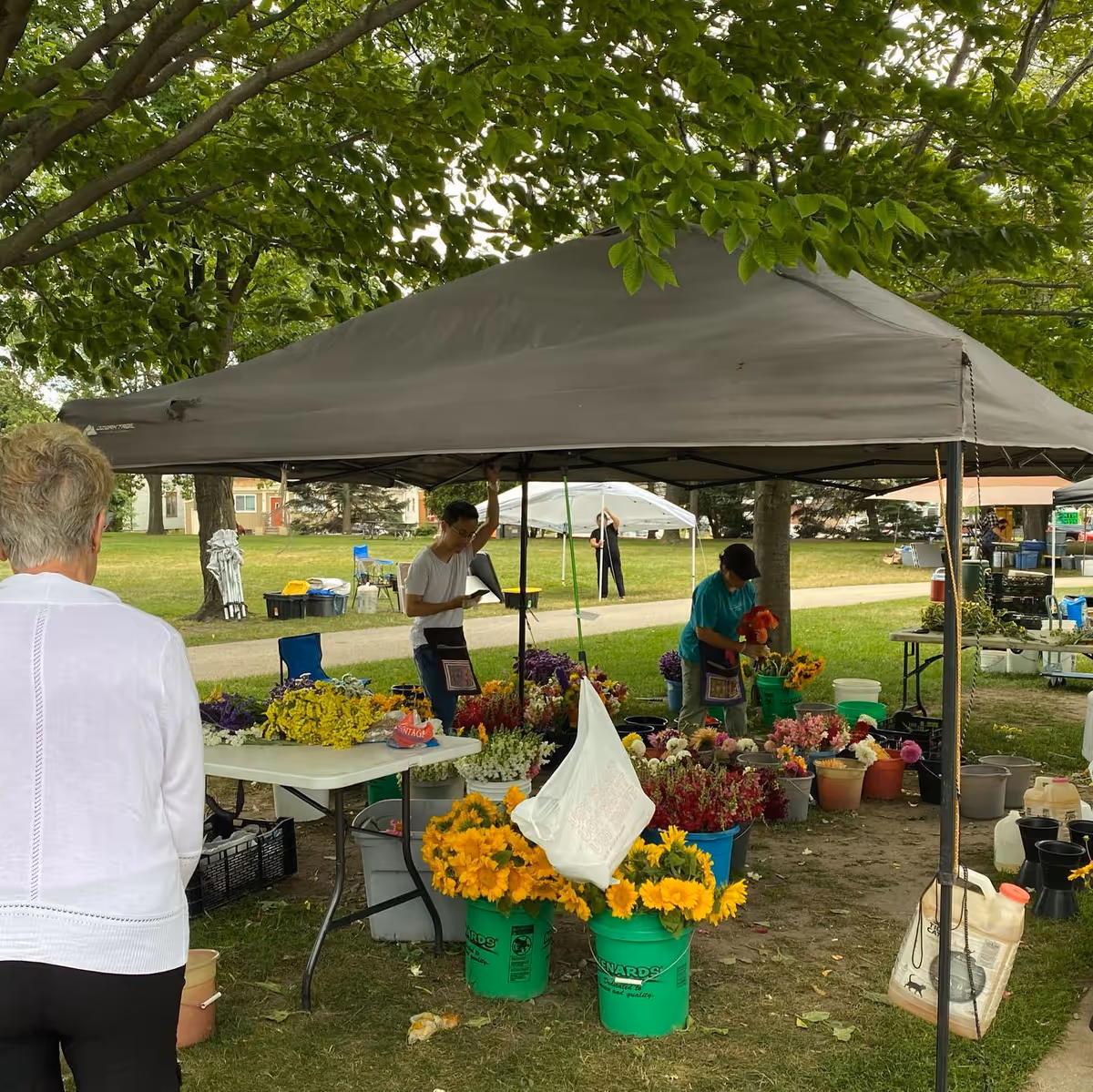 Outdoor market stall under a canopy tent with buckets of colorful flowers arranged on the ground and tables. Two people are arranging flowers while another person with gray hair and a white sweater stands nearby. The scene is set in a grassy park area with trees and a pathway in the background.