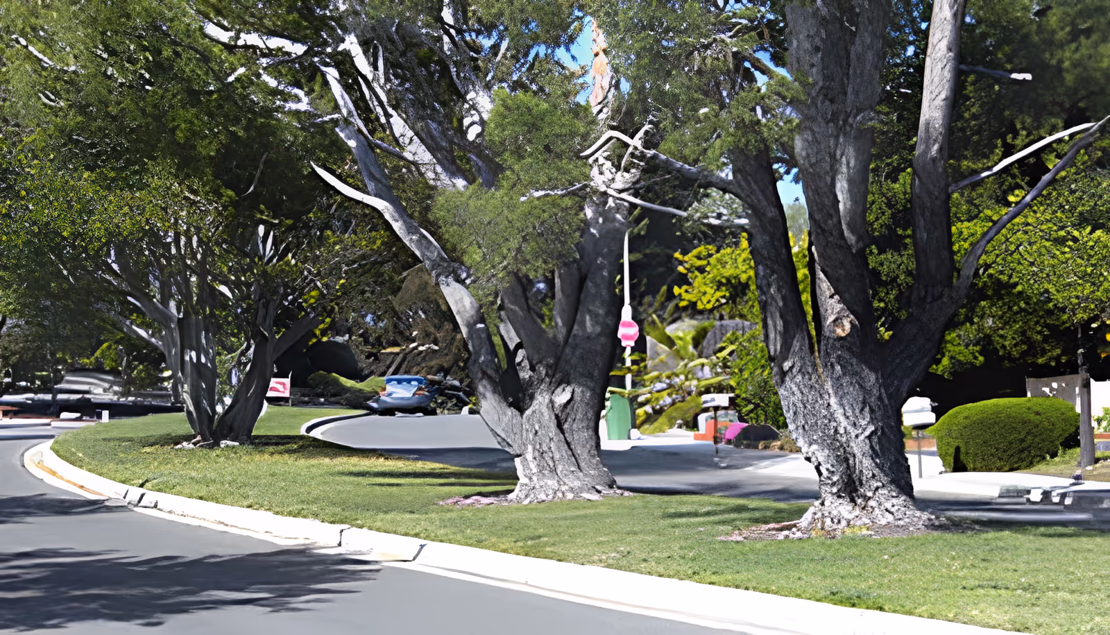 A curved driveway lined with large trees and well-maintained grass on both sides, with some bushes and a few parked cars visible in the background under a clear sky.