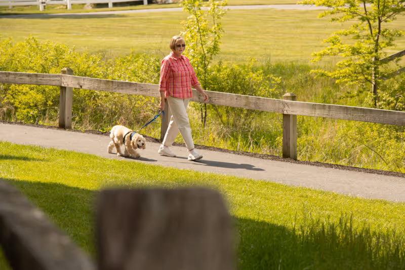An elderly woman wearing a red plaid shirt and light-colored pants walking a small dog on a leash along a paved path next to a wooden fence with green grass and trees in the background.