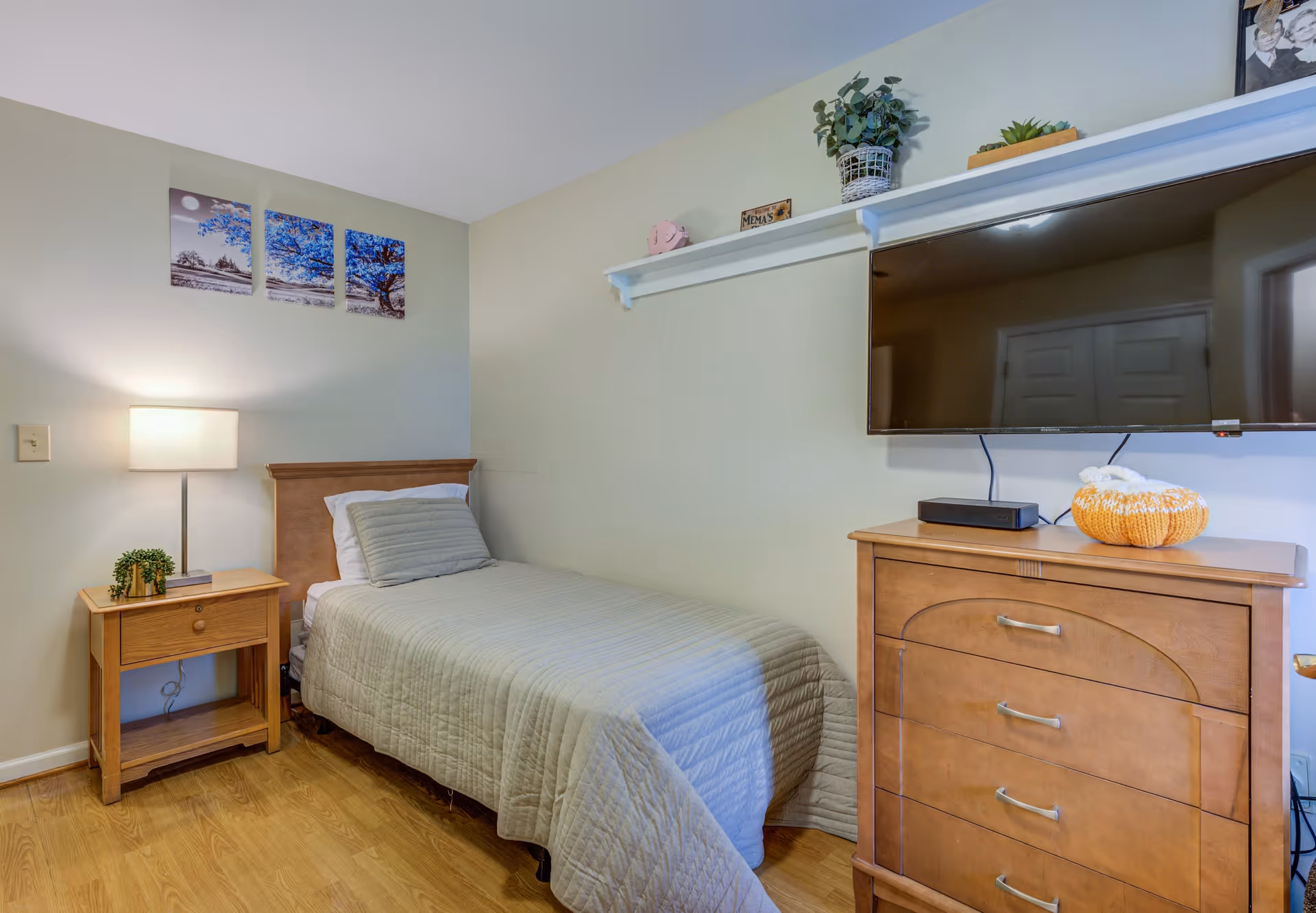 A small bedroom with a single bed covered in a light gray quilt and a matching pillow. Next to the bed is a wooden nightstand with a lamp and a small plant. On the wall above the bed are three framed pictures of a blue tree. Across from the bed is a wooden dresser with a flat-screen TV mounted above it. The dresser has a decorative pumpkin and a small plant on top. A white shelf above the TV holds more small decorative items and plants. The room has light-colored walls and wood flooring.