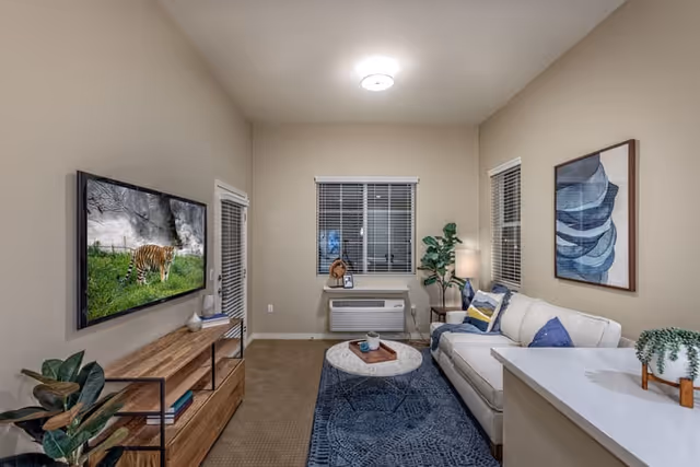 Cozy furnished living room with a sofa, wall-mounted TV, coffee table, rug, plants and a window air conditioner.