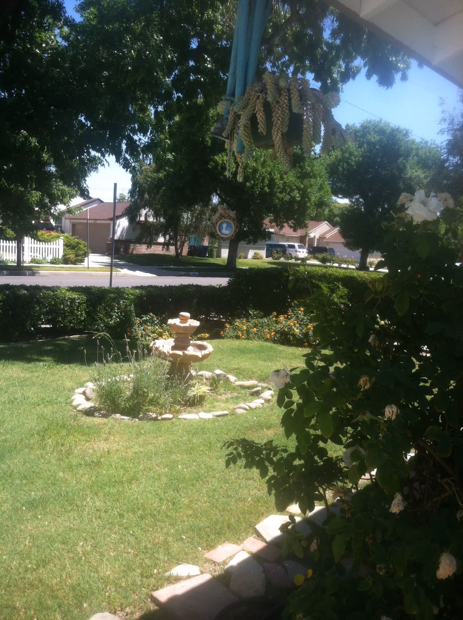 A sunny outdoor garden area with a small stone fountain surrounded by grass, flowers, and bushes. Trees and residential houses are visible in the background under a clear blue sky.