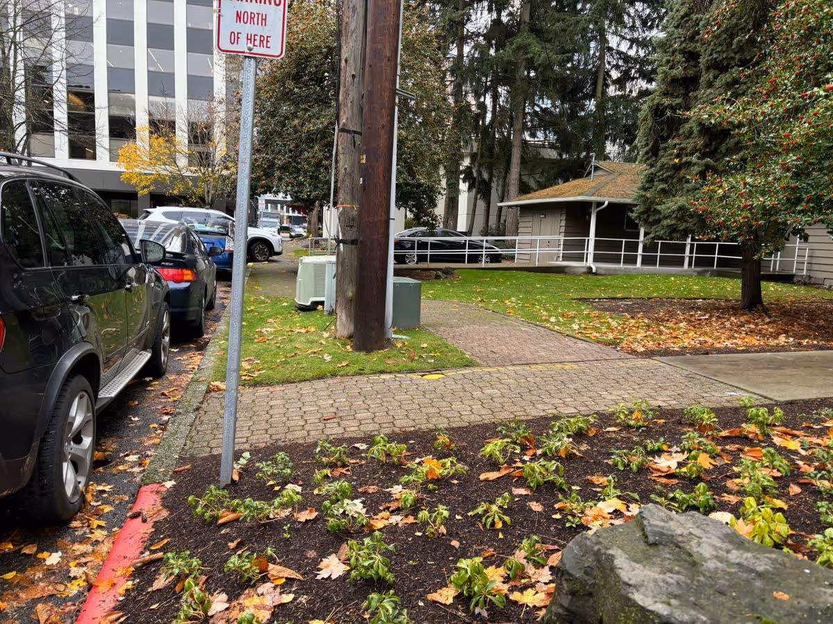 Sidewalk and landscaped entrance with parked cars, a utility pole, and a small building set among trees.