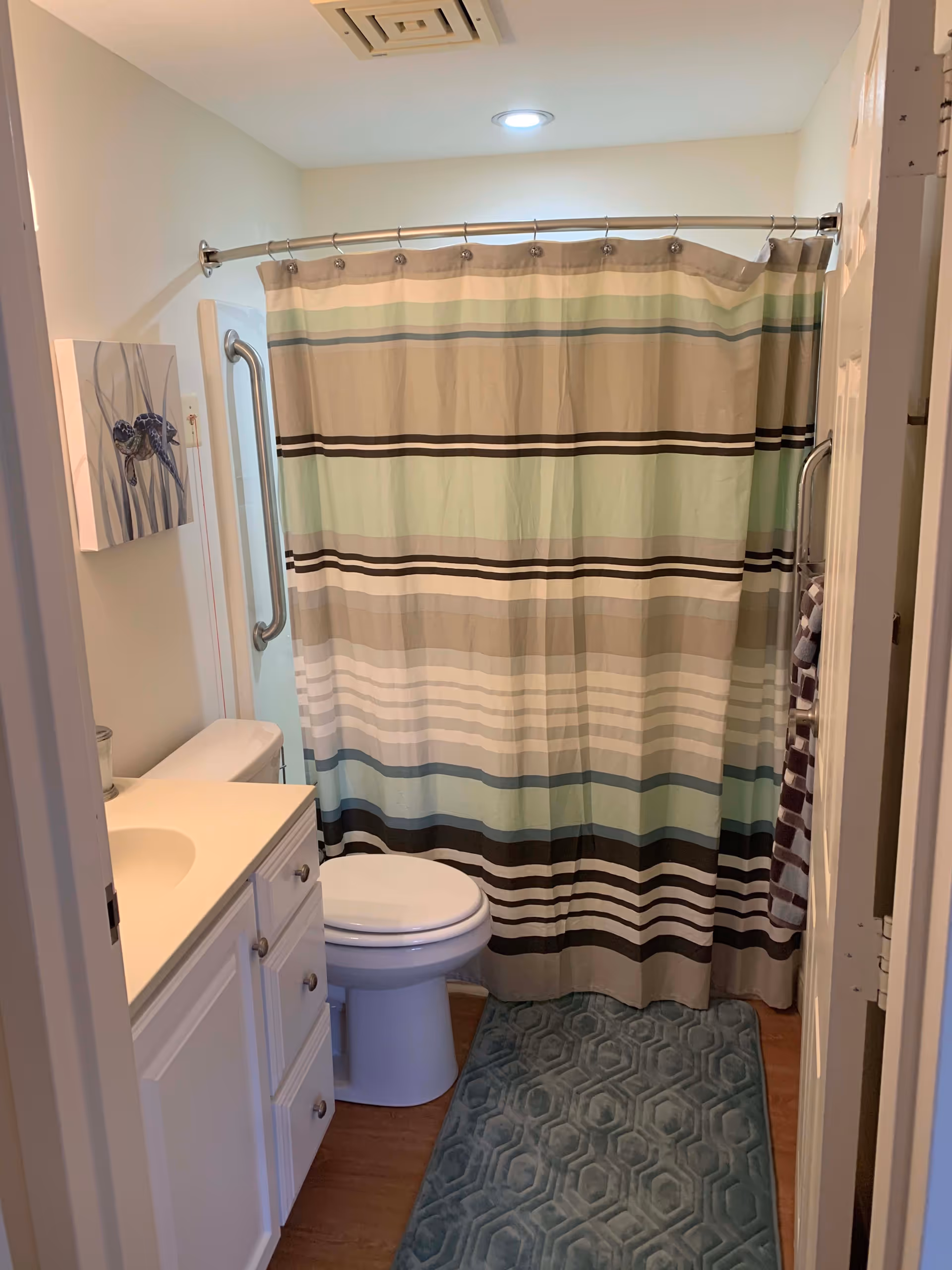A small bathroom with a white vanity and sink on the left, a toilet next to it, and a shower with a striped shower curtain in shades of beige, green, and brown. There is a blue textured bath mat on the wooden floor and a towel hanging on a rack on the right wall. A small piece of wall art featuring a turtle is hung above the toilet.