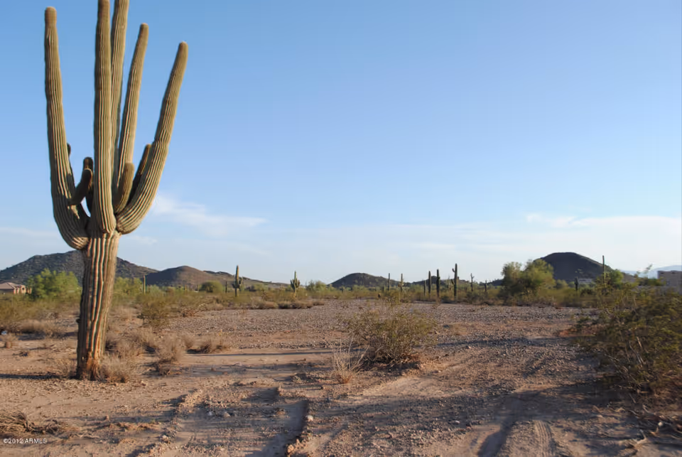 Desert landscape with a large saguaro cactus in the foreground and distant hills under a clear sky.