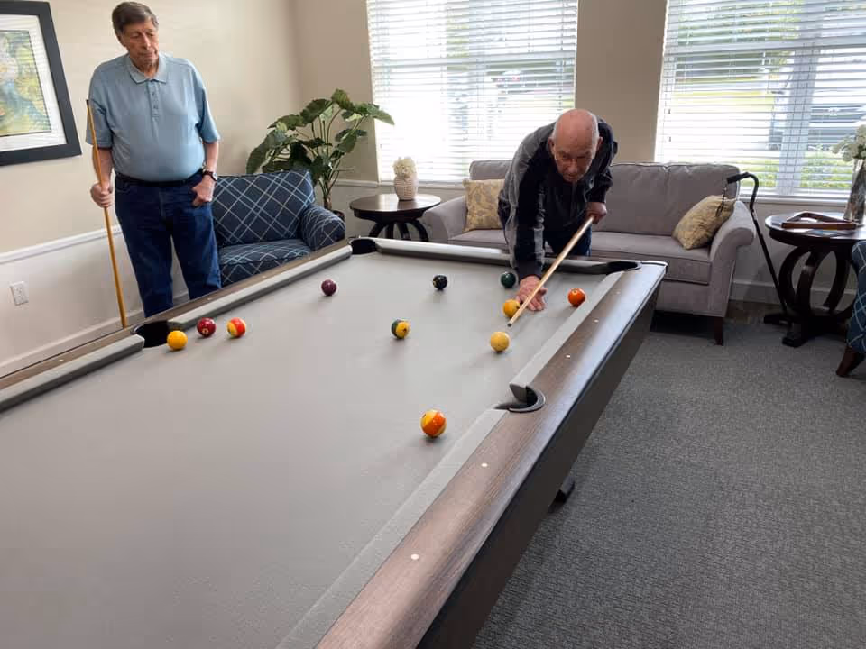 Two elderly men playing pool in a well-lit room with large windows. One man is taking a shot while the other watches, holding a pool cue. The room has comfortable seating including a blue patterned armchair and a gray sofa with pillows, along with side tables and plants.