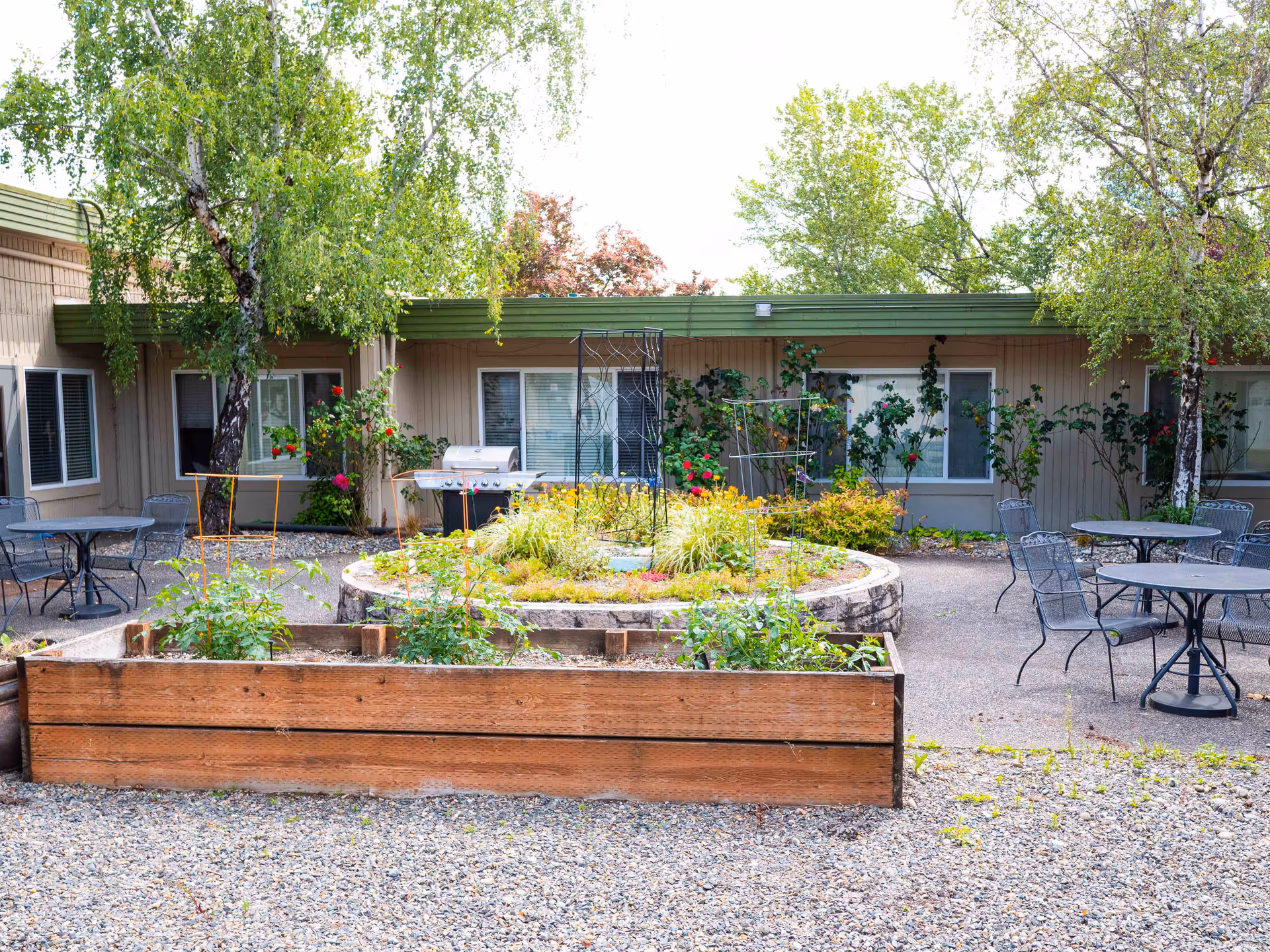 Outdoor courtyard area at Avamere at Pacific Ridge featuring a raised circular garden bed with various plants and flowers, surrounded by patio tables and chairs. The building exterior with windows and greenery is visible in the background.