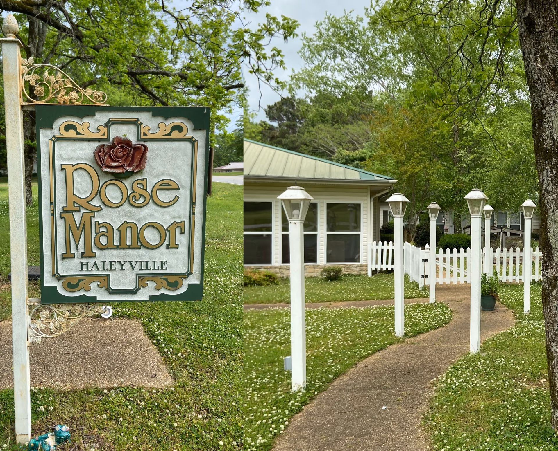 Outdoor view of Rose Manor Haleyville facility sign with a decorative rose on it, next to a paved walkway lined with white lamp posts leading to a building with a green metal roof and white picket fence, surrounded by green grass and trees.