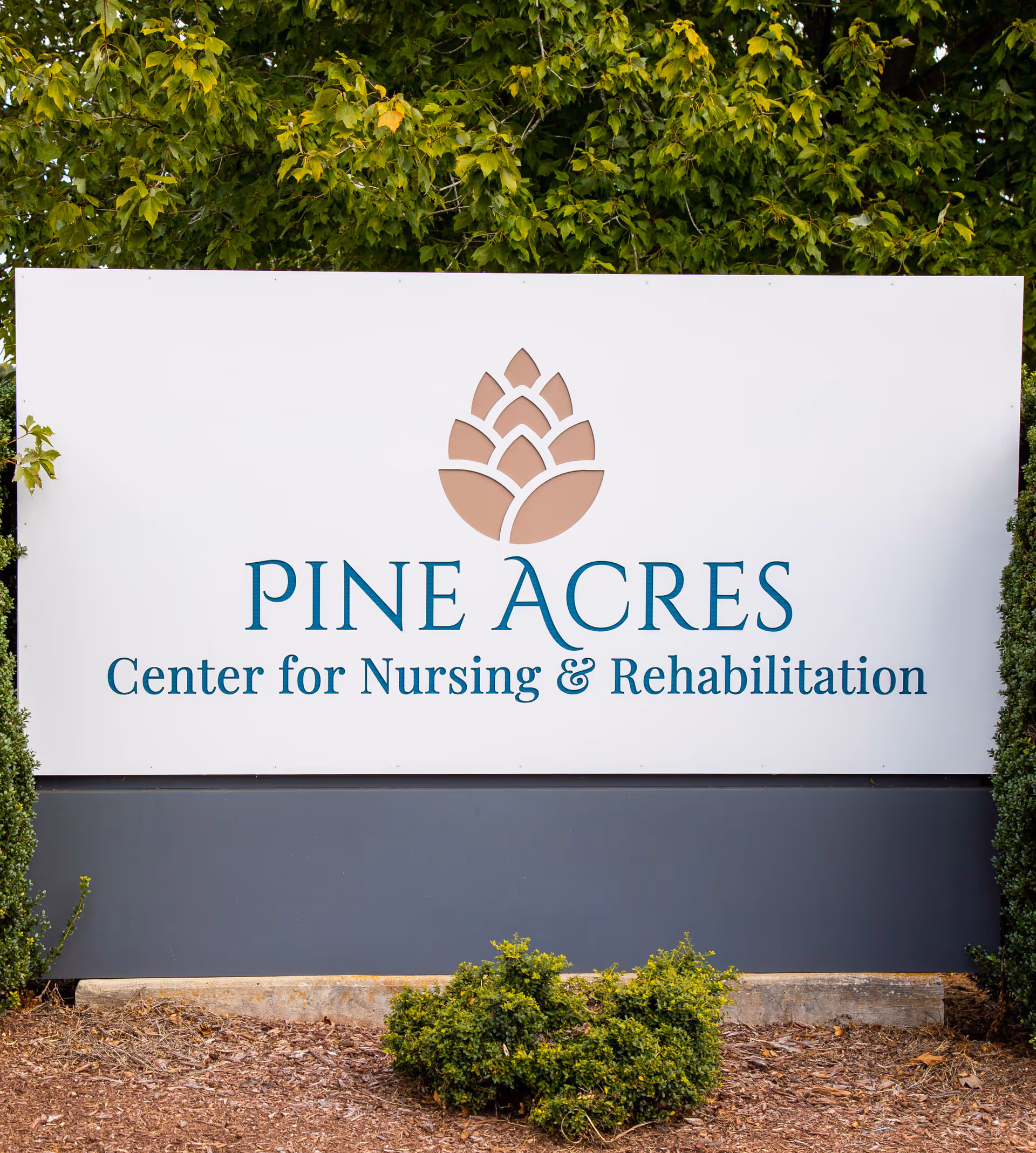 A large outdoor sign for Pine Acres Center for Nursing & Rehabilitation with a stylized pine cone logo above the text, surrounded by greenery and bushes.