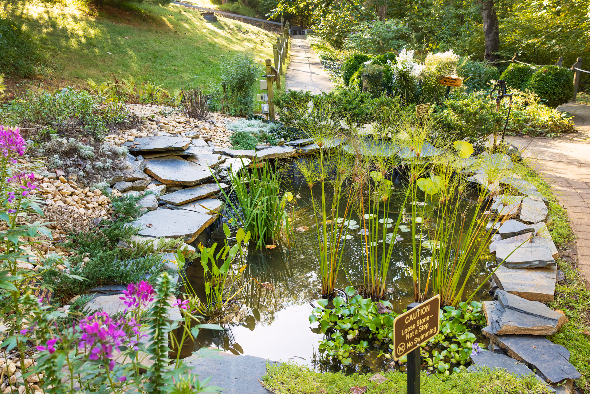A serene outdoor garden area featuring a small pond surrounded by rocks and various plants, including tall grasses and purple flowers. A paved walkway runs alongside the pond, and a caution sign near the water warns about loose stones and no swimming. The setting is lush and green with sunlight filtering through the trees.