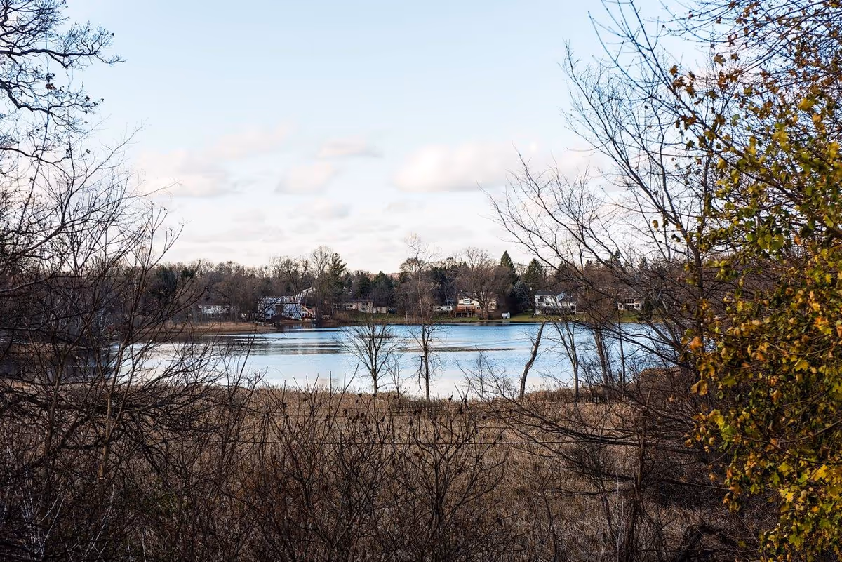 View across a small lake toward houses on the far shore framed by leafless trees and marsh vegetation.