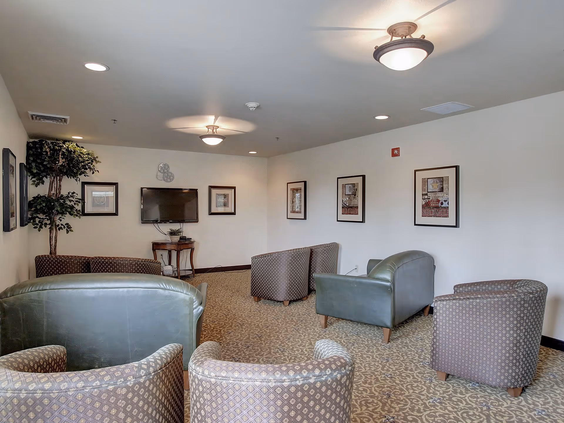 A senior living facility common area with patterned carpet and multiple upholstered chairs and sofas arranged facing a wall-mounted flat-screen TV. The walls are decorated with framed artwork and a decorative metal wall piece above the TV. There is a tall artificial plant in the corner and ceiling lights providing illumination.