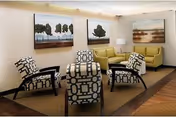 A cozy living room area with four patterned chairs arranged around a small ottoman, two yellow sofas, a floor lamp, and three large landscape paintings on the wall.