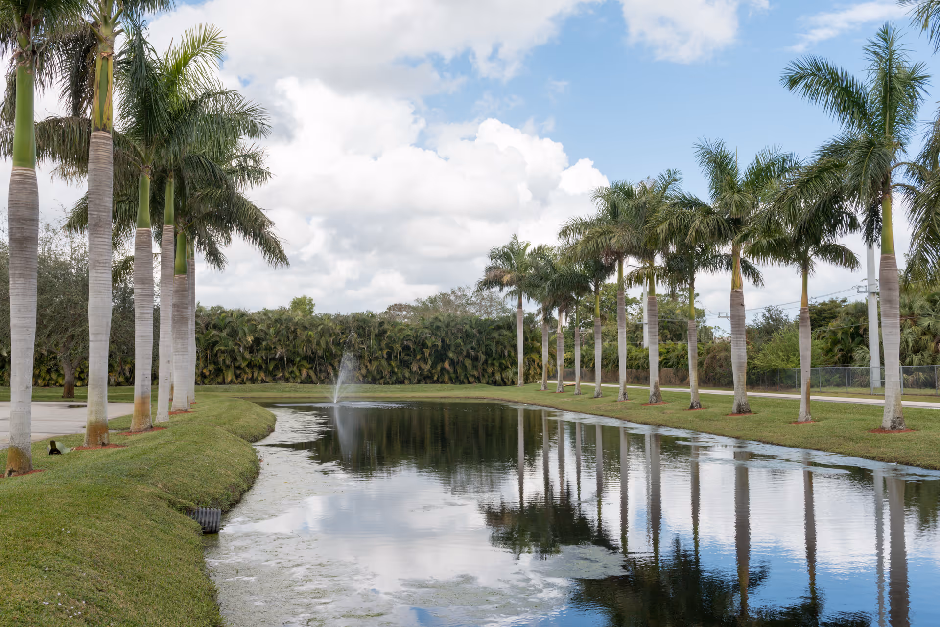 A serene outdoor scene featuring a narrow pond with a small fountain in the center, flanked by two rows of tall palm trees on either side. The sky is partly cloudy with patches of blue, and the water reflects the trees and clouds above.