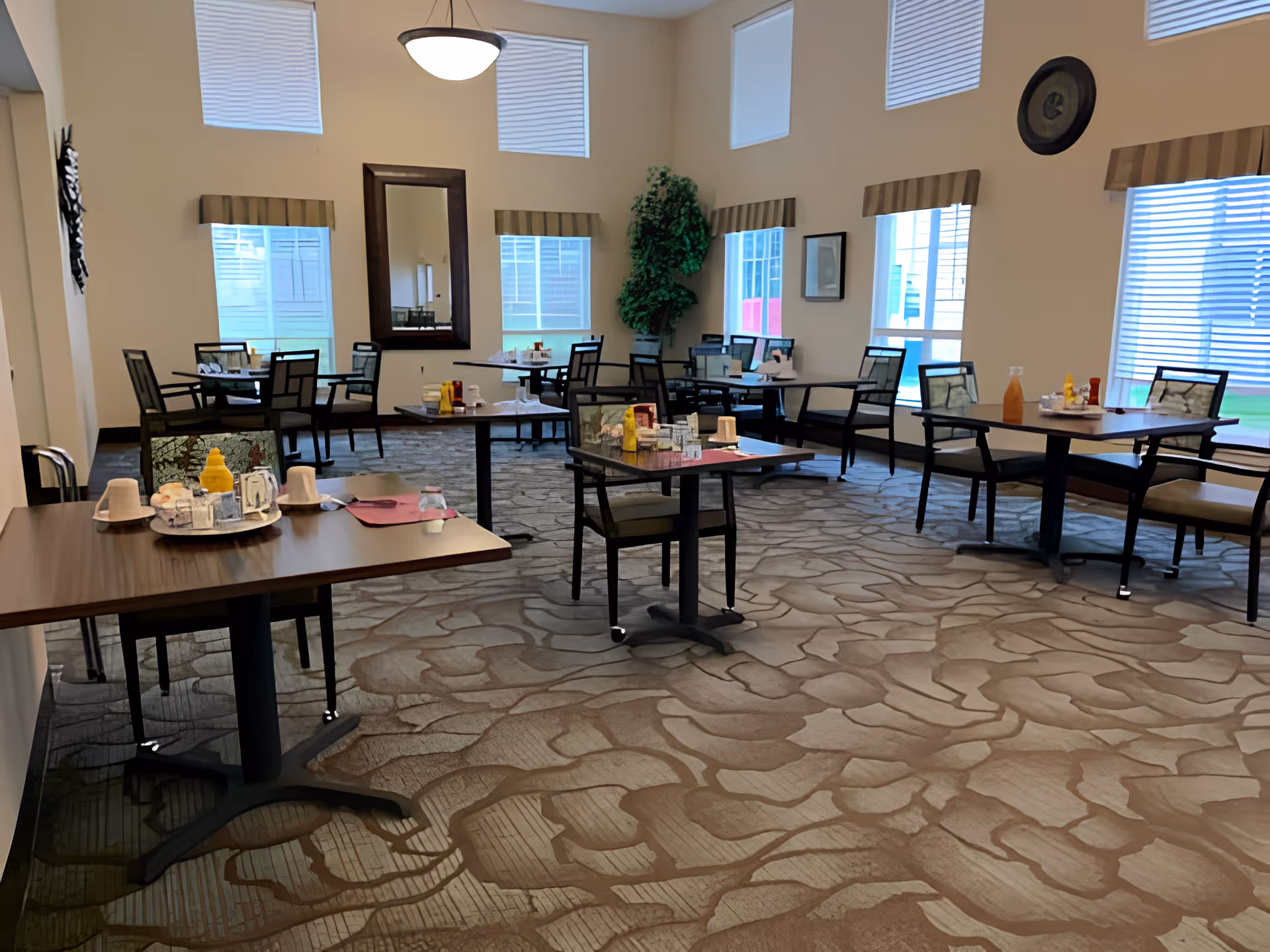 A dining room in a senior living facility with several tables and chairs arranged neatly. Each table has condiments and napkins, and the room features large windows with blinds, a tall mirror on the far wall, a hanging light fixture, and a large potted plant in the corner. The carpet has a patterned design resembling stone tiles.