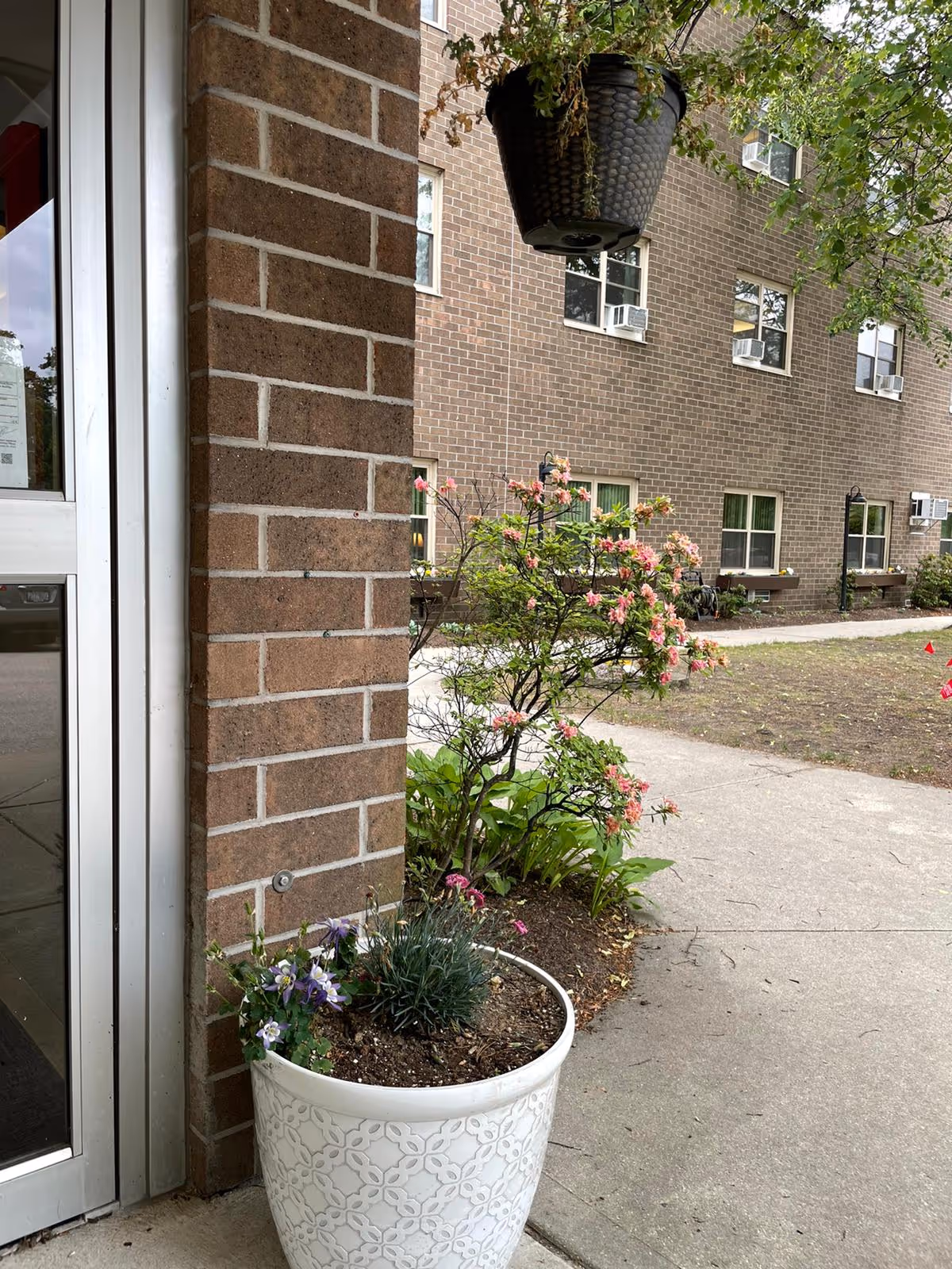 Brick exterior entrance of a nursing facility showing a white planter with flowers, a hanging basket, and the building's windows.