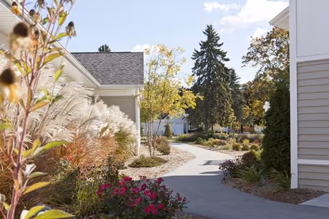 Pathway between senior living buildings with landscaped shrubs and trees along a sunny exterior.