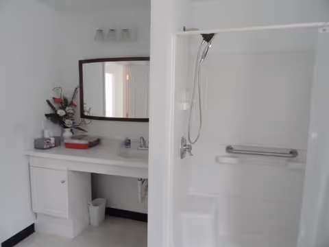 A clean, white bathroom featuring a vanity with a sink, a large mirror above it, and a floral arrangement on the counter. To the right is a walk-in shower with a handheld showerhead, grab bar, and a built-in seat.