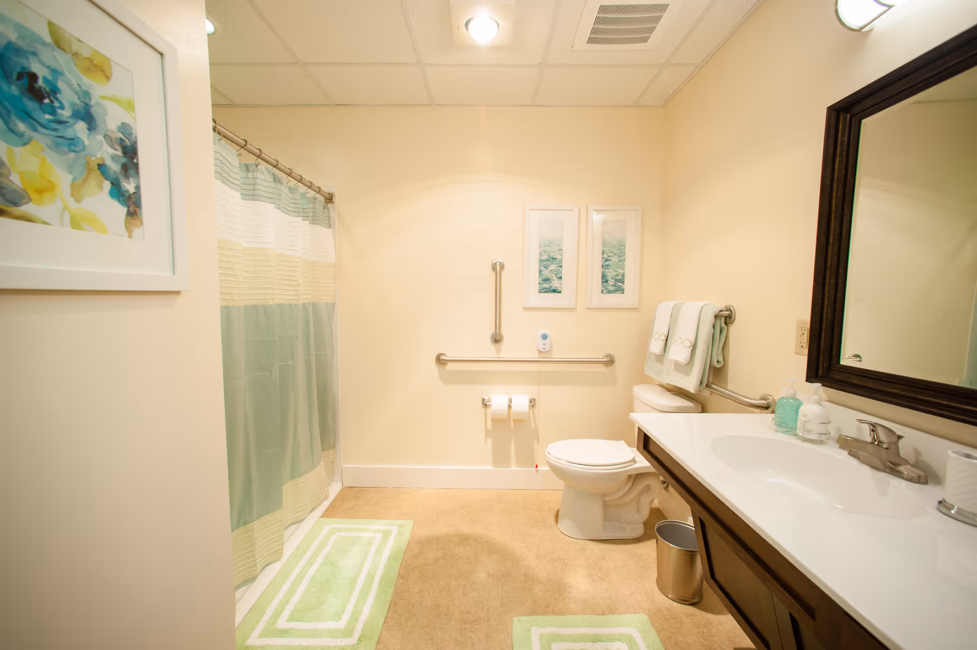 Well-lit accessible bathroom with a shower and curtain, toilet with grab bars, sink and mirror, and green bath mats.