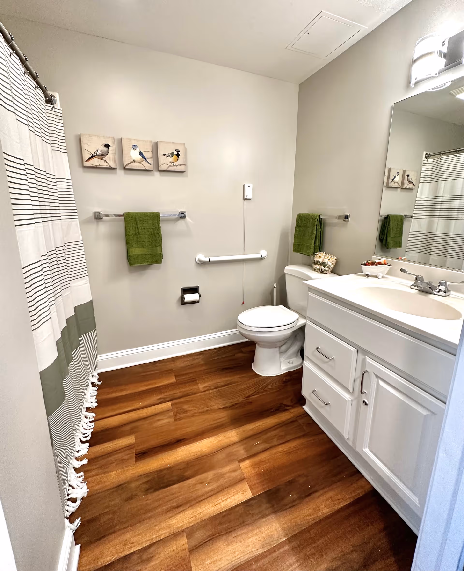 A clean and well-lit bathroom with wood-style flooring, a white toilet, a white vanity with a sink, a large mirror above the sink, a striped shower curtain, and two green towels hanging on towel racks. Three small bird paintings are mounted on the wall above one towel rack.