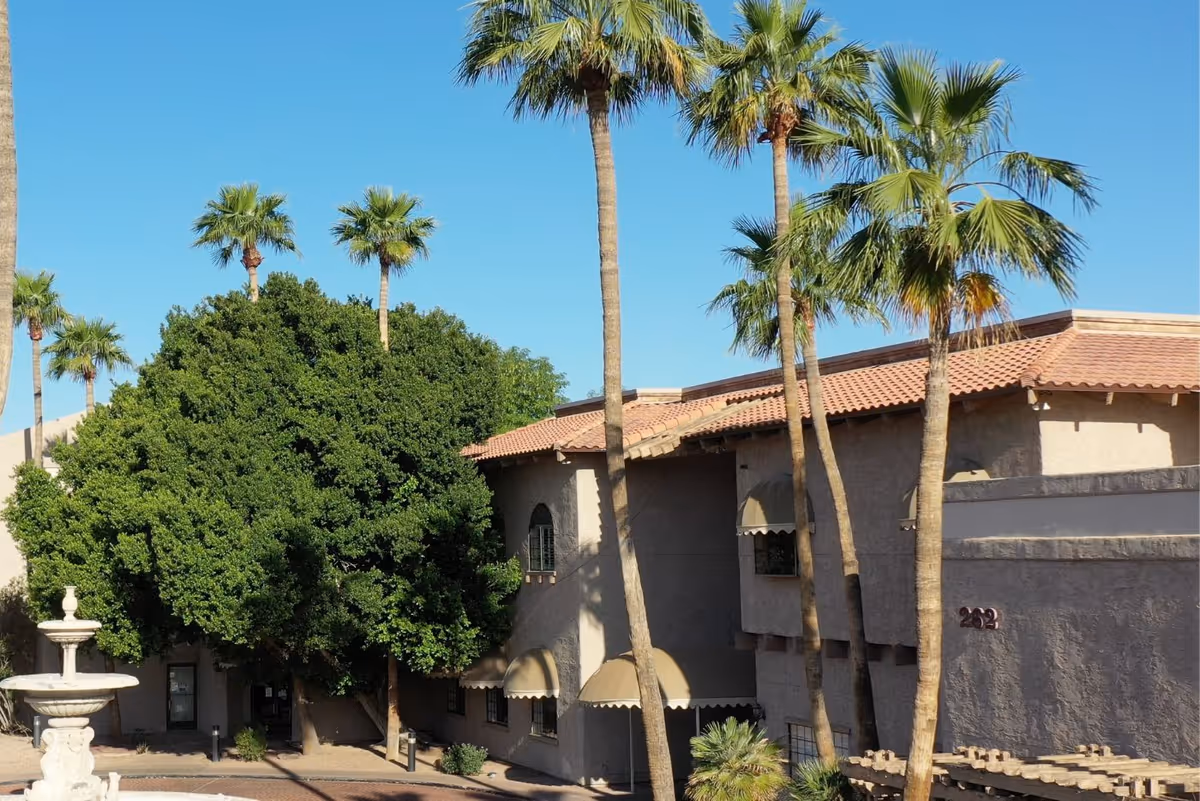 Exterior view of a building with beige stucco walls and a red tile roof, surrounded by tall palm trees and a large leafy tree, under a clear blue sky.