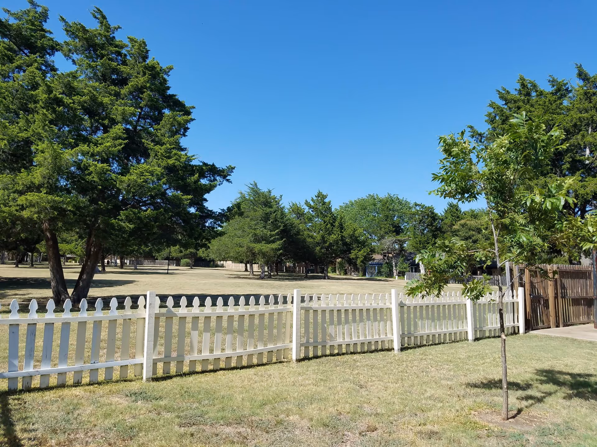A sunny outdoor scene with a white picket fence in the foreground, green grass, several trees, and a clear blue sky.