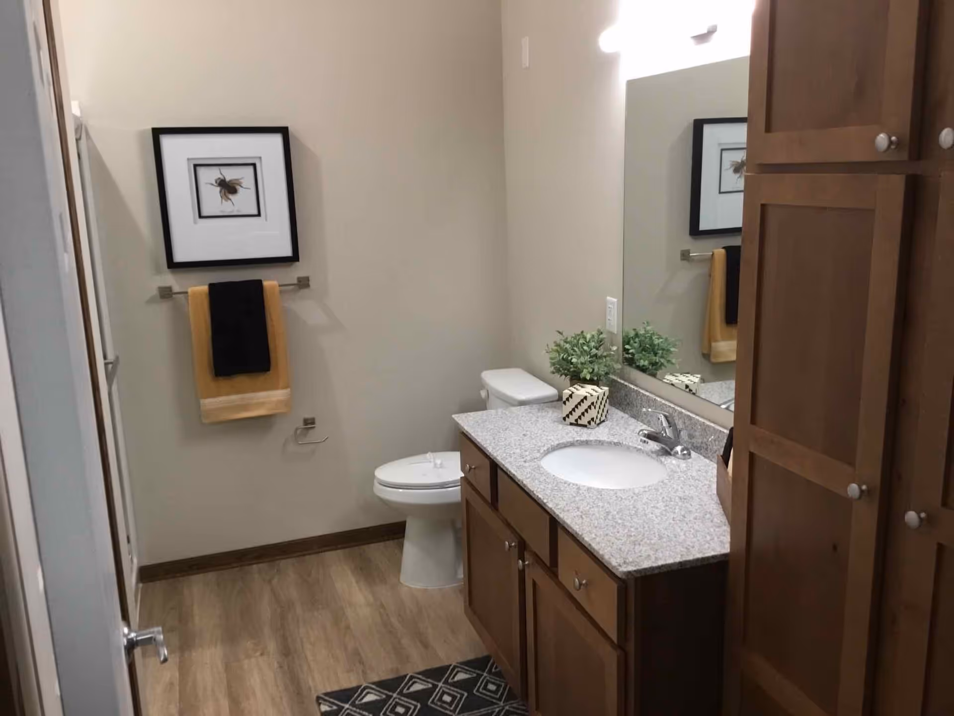 A clean bathroom with a wooden cabinet and granite countertop with a sink. There is a toilet next to the counter, a framed picture on the wall above a towel rack holding two towels, and a small plant and decorative box on the countertop. The floor has wood-like flooring and a patterned rug in front of the sink.
