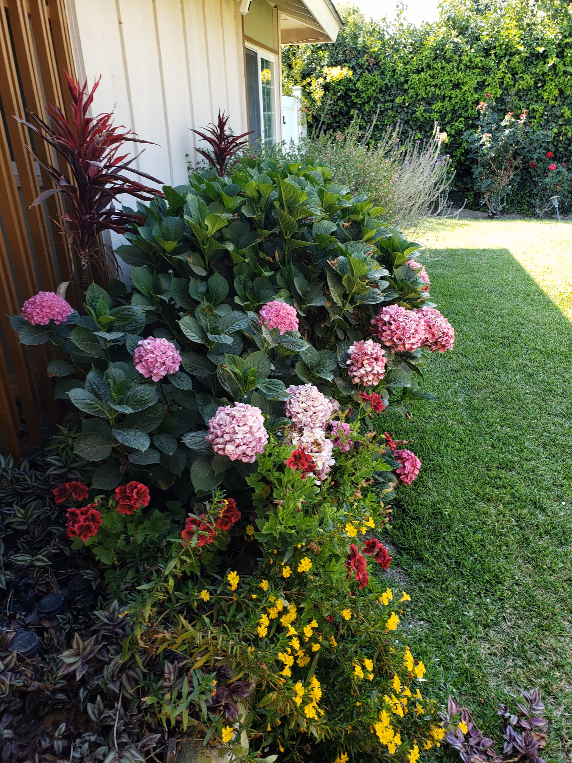 A garden area outside a building with a variety of colorful flowers including pink hydrangeas, red and yellow flowers, and lush green foliage. The building has light-colored siding and a window is visible. There is a well-maintained green lawn extending to the right side of the image.