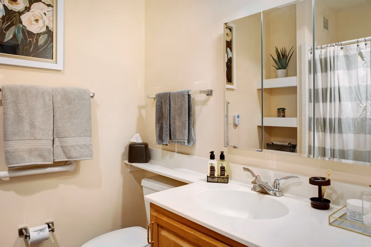 A clean bathroom with a white sink and countertop, wooden cabinet below, a large mirror above the sink, and a toilet with a tissue box on top. Two gray towels hang on a towel rack above a grab bar, and another gray towel hangs on a smaller rack near the mirror. There is a striped shower curtain and built-in shelves with decorative items visible in the reflection of the mirror.