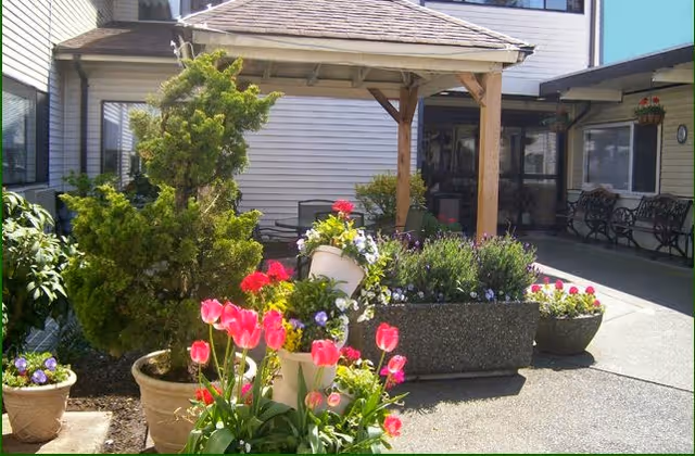 Outdoor courtyard area with various potted plants and flowers including pink tulips, a small tree, and other colorful blooms. There is a wooden pergola structure providing partial shade, and benches along the building walls in the background.