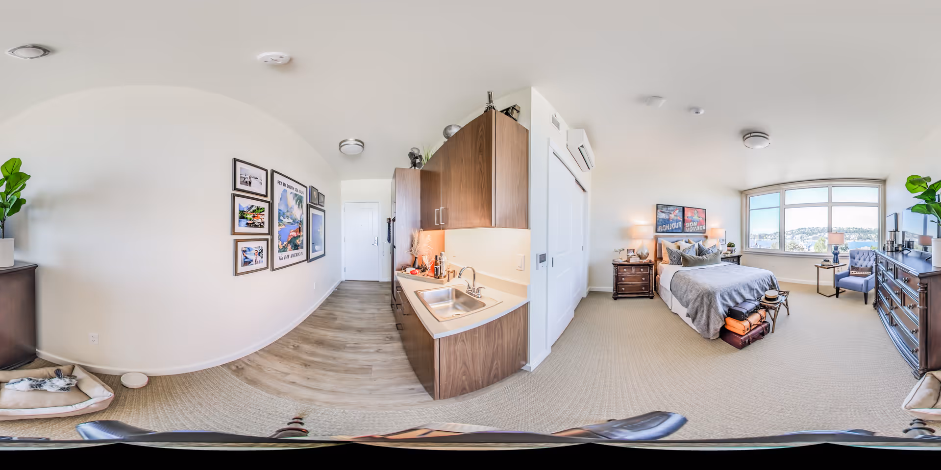 A spacious senior living apartment featuring a bedroom with a large window offering a scenic view, a bed with bedside tables and lamps, a comfortable chair, and a dresser. Adjacent to the bedroom is a kitchenette with a sink, cabinets, and countertop. The room has light-colored walls and carpeted flooring, with framed artwork on the wall and a pet bed with a cat resting on it.