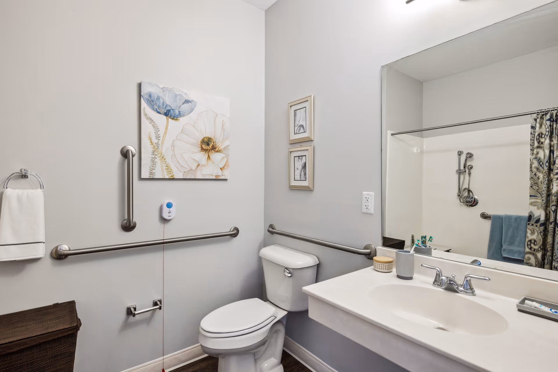 Accessible bathroom with a toilet, sink and countertop, large mirror, grab bars, shower with curtain, and wall artwork.
