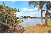 Landscaped lakeside view with palm trees, a fountain in the water, and a partly cloudy sky.