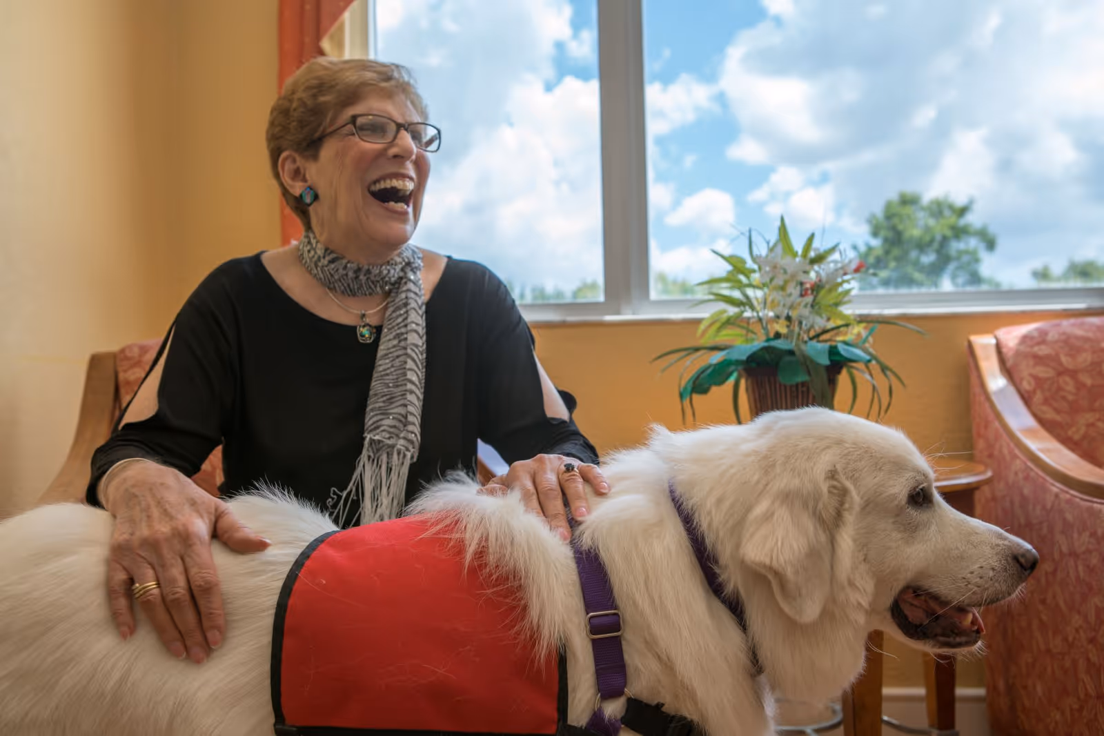 An elderly woman with glasses and a scarf is sitting indoors, smiling and laughing while petting a large white dog wearing a red vest. There is a window behind them showing a blue sky with clouds, and a potted plant is visible on a small table next to the window.