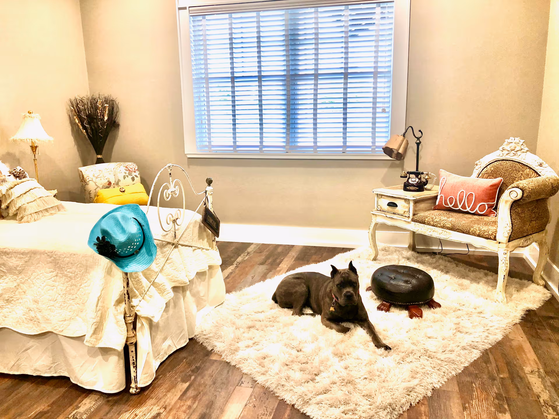 Cozy bedroom interior with a bed, vintage armchair and side table, a fluffy rug, and a dog lying on the rug beneath a window.