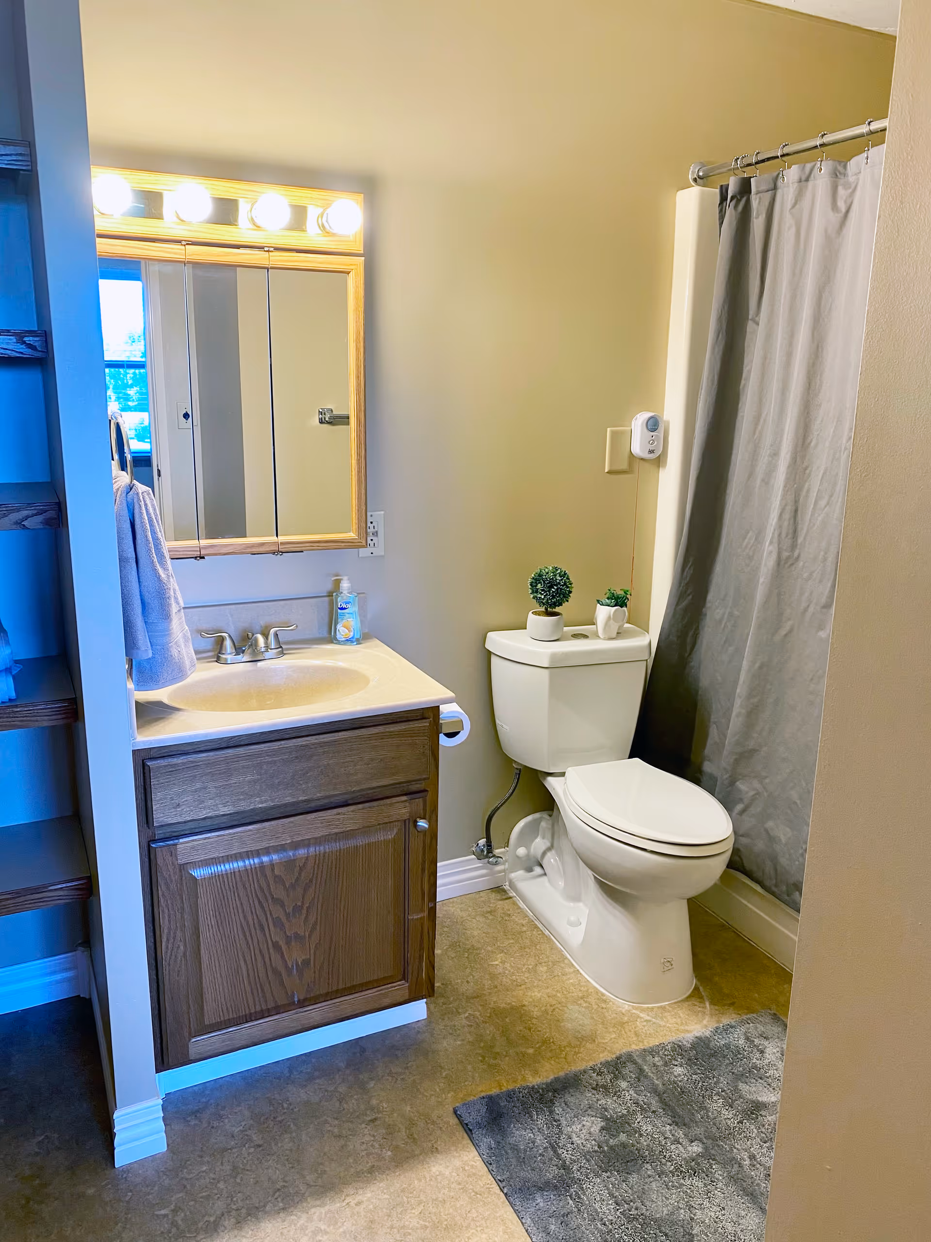 Bathroom with a vanity and lighted mirrored cabinet, sink, toilet topped with small potted plants, and a shower with a gray curtain.