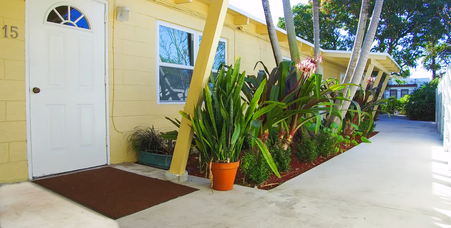 Exterior view of a yellow building with a white door numbered 15, a brown doormat, and a row of green plants along the side of a concrete walkway under a clear sky.