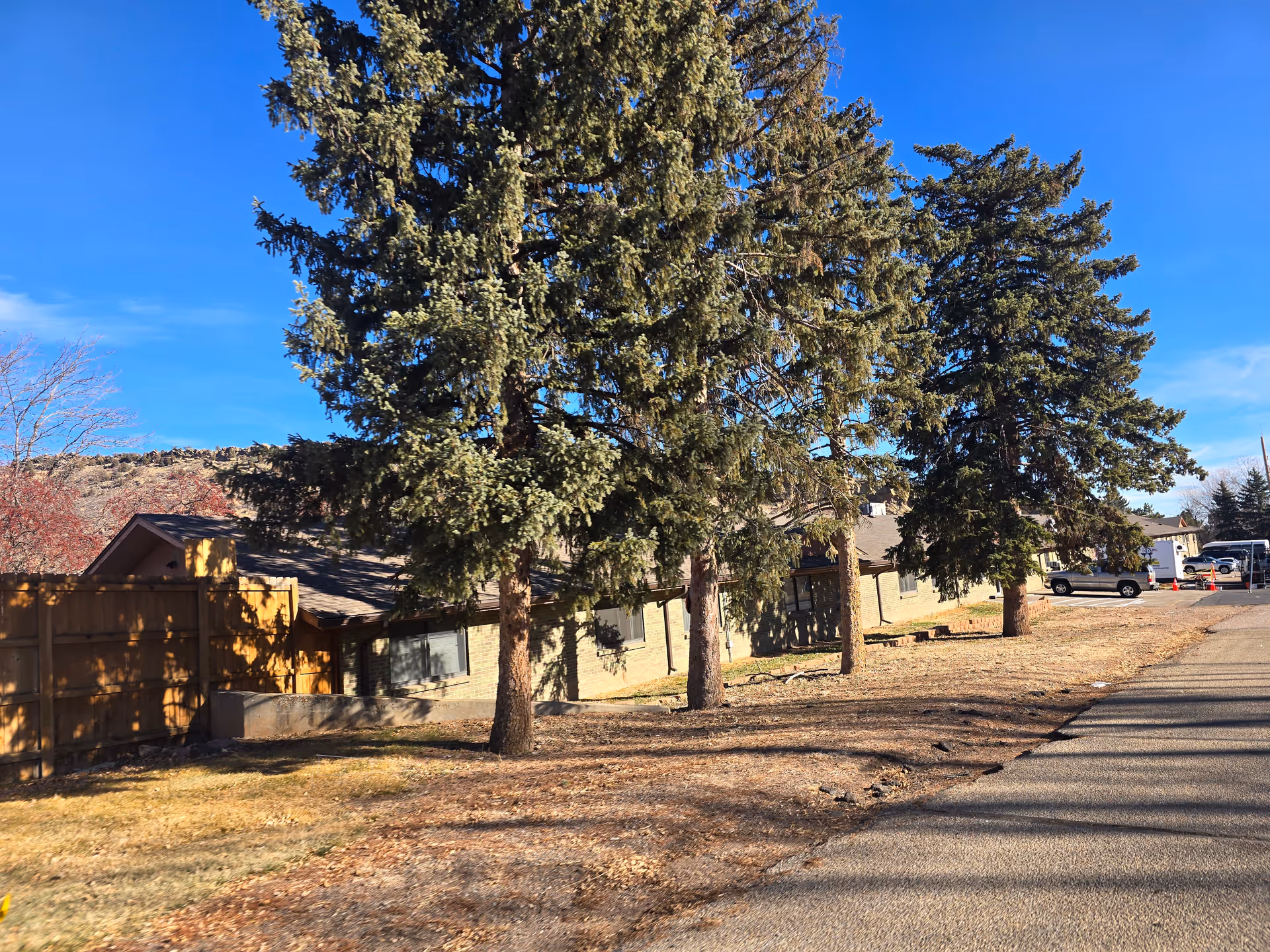 Exterior view of a single-story care building with large pine trees in front, a driveway, and parked cars.