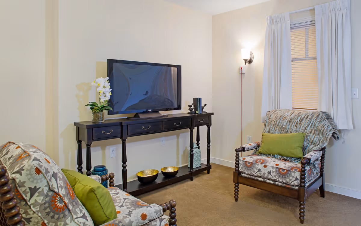 A cozy living room with two patterned armchairs, each with a green cushion. A black console table holds a flat-screen TV, a vase with white flowers, and some decorative items. A window with white curtains and a wall-mounted light fixture are visible in the background.
