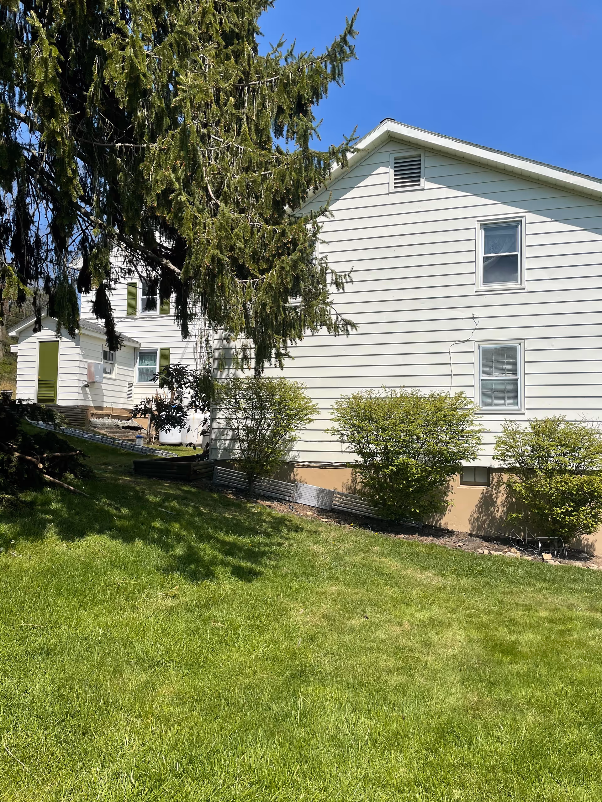 Exterior view of a white residential building with green bushes along the foundation and a large tree partially shading the lawn in front. The sky is clear and blue.