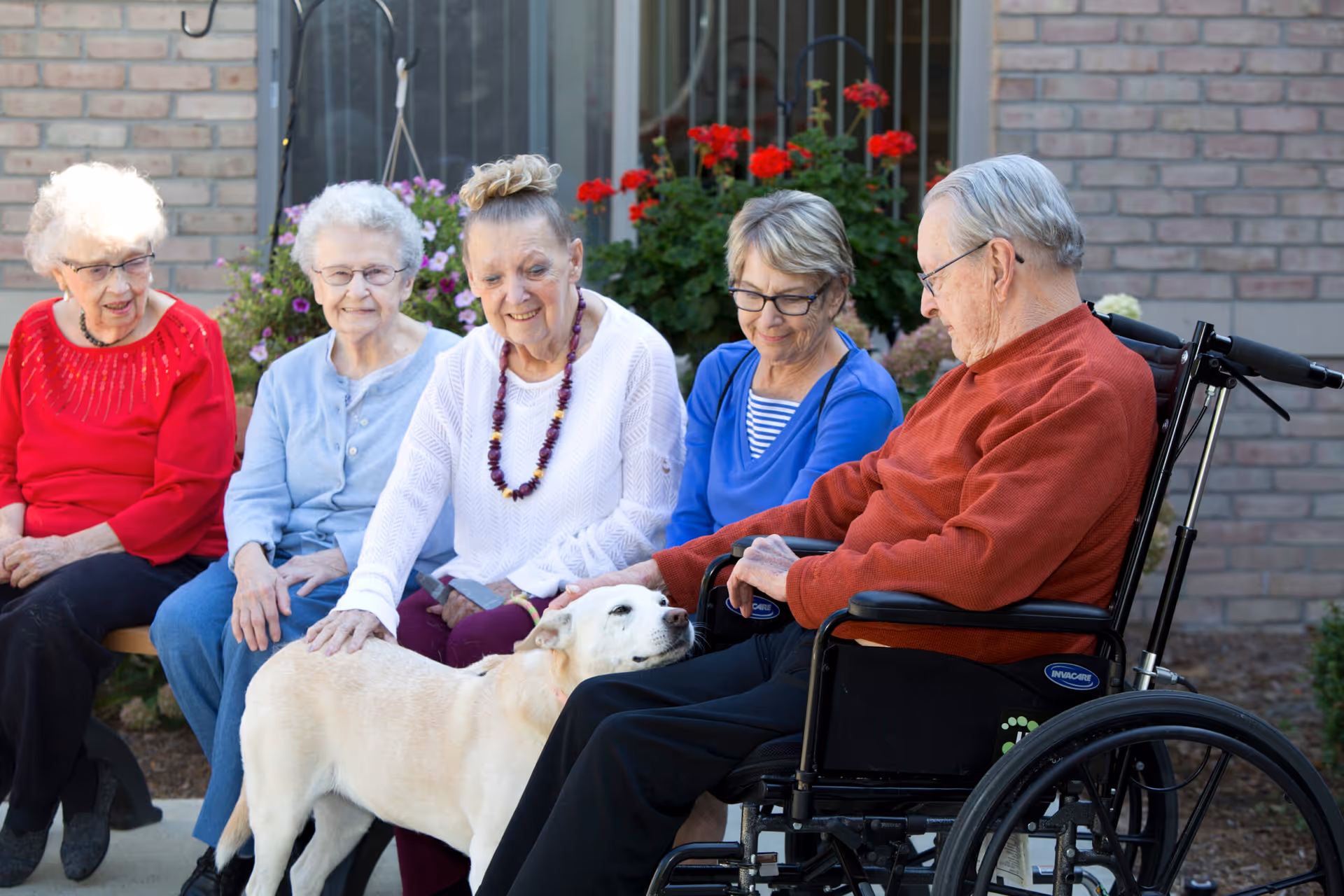 Five elderly individuals sitting outdoors near a brick wall with flowers in the background. Four women are seated on a bench, smiling and petting a light-colored dog. A man in a wheelchair is also petting the dog. The scene is bright and cheerful.