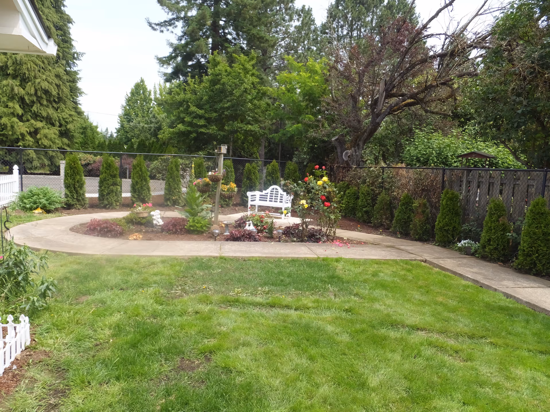 A well-maintained garden area with a green lawn, a curved concrete pathway, various shrubs and flowers, a white bench, and tall trees in the background. The garden is enclosed by a black chain-link fence and a white picket fence is partially visible on the left side.