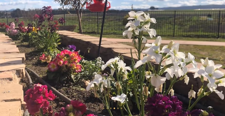 Flower bed with white and pink blooms along a low stone border and a fence overlooking a grassy field.