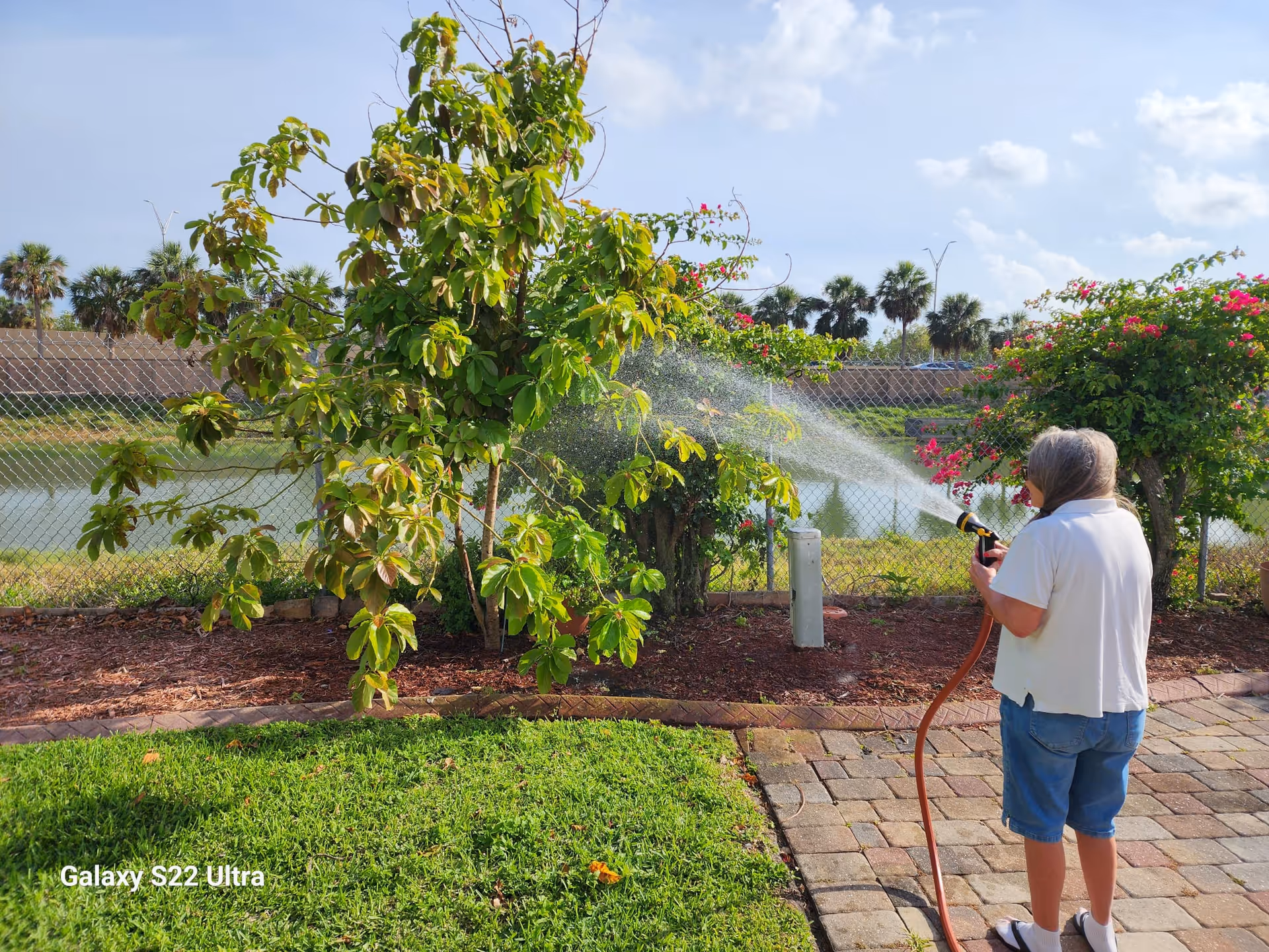 An elderly person watering plants in a garden area with a hose. The garden has green grass, a small tree, and flowering bushes. There is a chain-link fence and a body of water in the background under a partly cloudy sky.