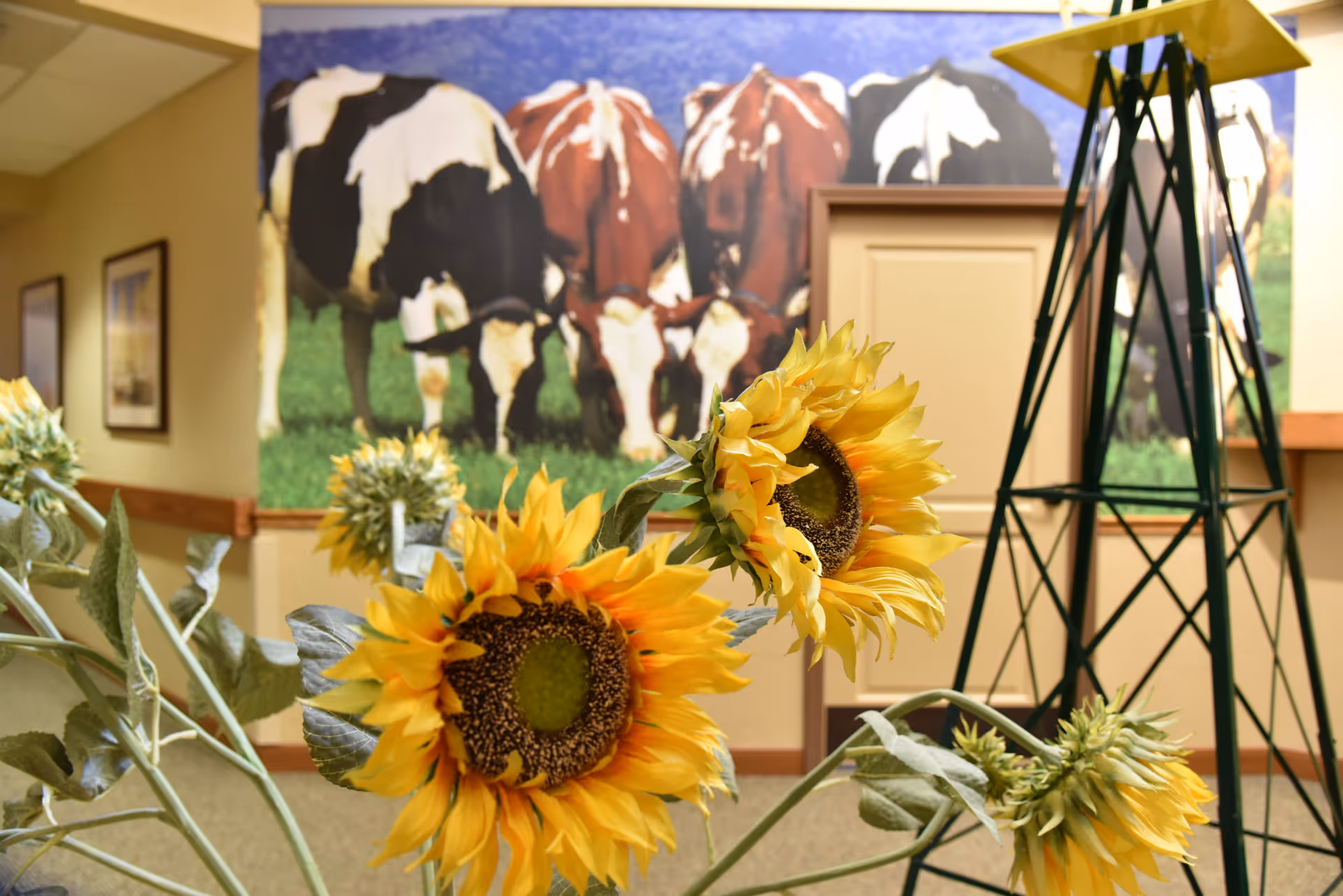 Bright sunflowers in the foreground of an interior common area with a cow mural and a decorative windmill structure in the background.