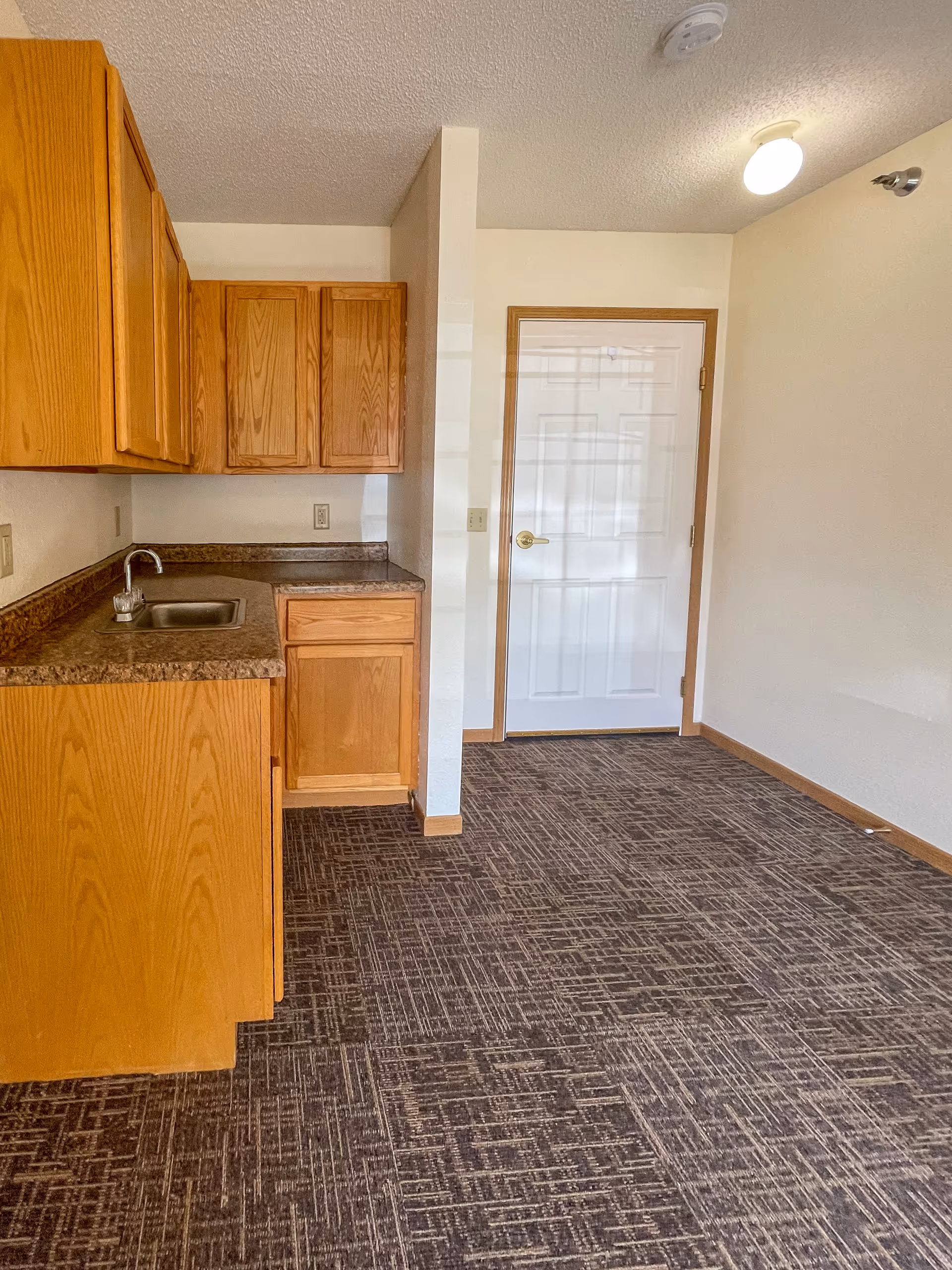 Interior view of a small kitchen area with wooden cabinets, a countertop with a sink, and a white door with a golden handle. The floor is covered with patterned carpet, and the walls are painted white with a ceiling light fixture.