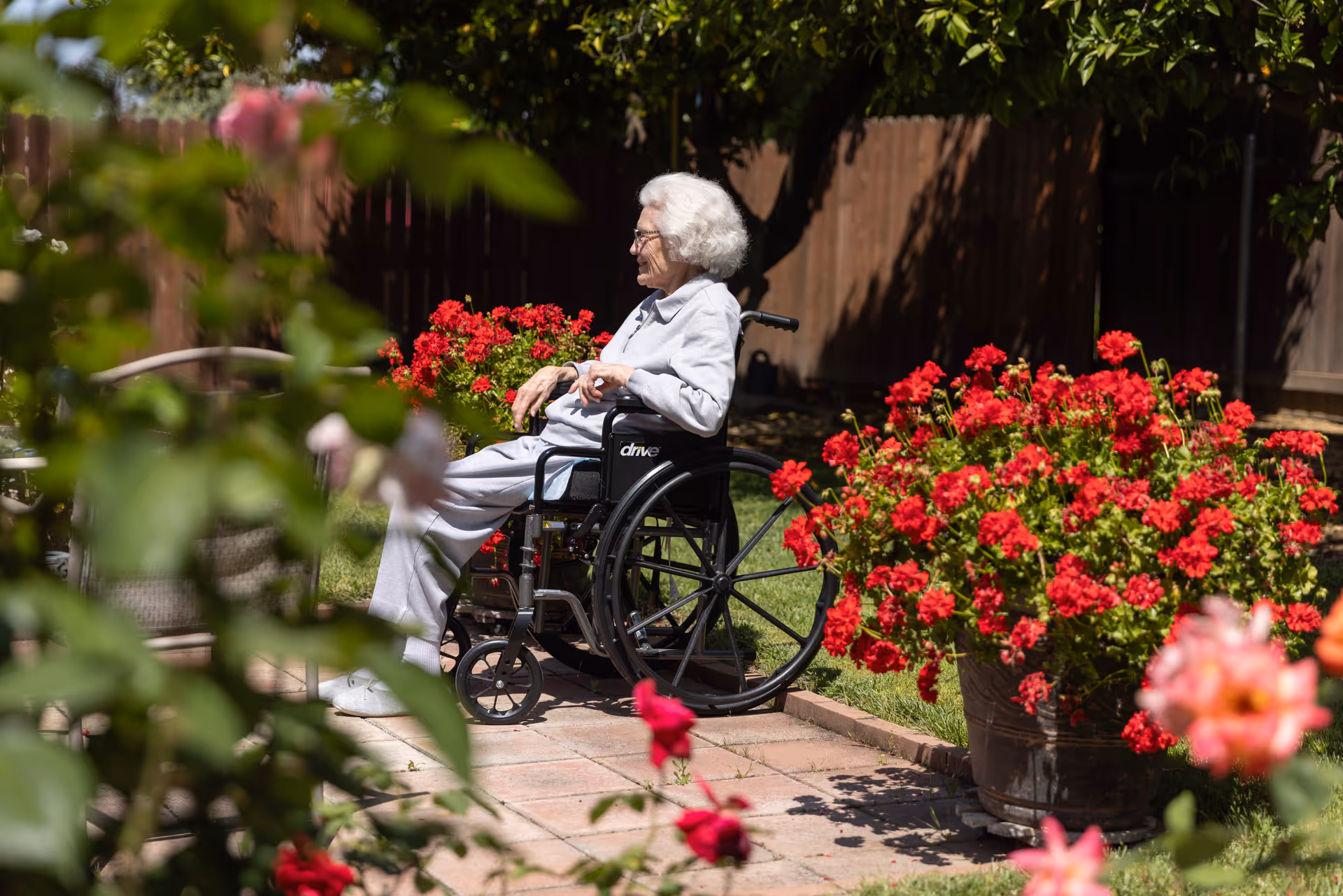 An elderly woman with white hair sitting in a wheelchair in a garden area surrounded by vibrant red flowers and greenery, with a wooden fence in the background.