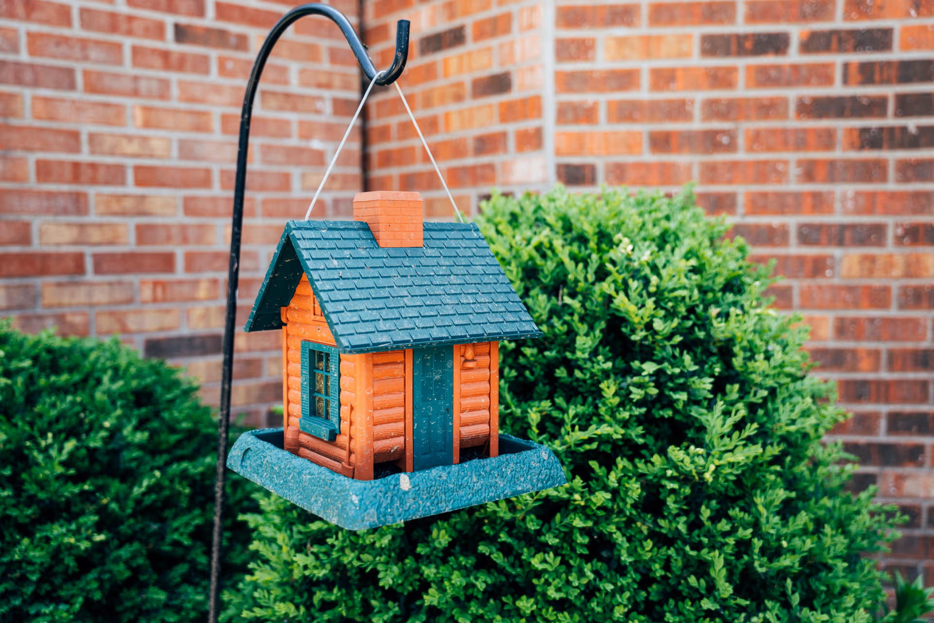A small wooden birdhouse-style feeder hangs from a metal hook in front of green shrubs and a brick wall.